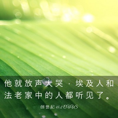 Picture 03 - 创 世 纪 45:2 CUVS - 他 就 放 声 大 哭 ， 埃 及 人 和 法 - Bible Verse Picture