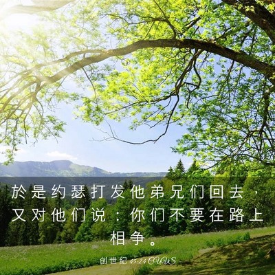 Picture 03 - 创 世 纪 45:24 CUVS - 於 是 约 瑟 打 发 他 弟 兄 们 回 去 - Bible Verse Picture