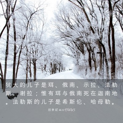 Picture 03 - 创 世 纪 46:12 CUVS - 犹 大 的 儿 子 是 珥 、 俄 南 、 示 - Bible Verse Picture