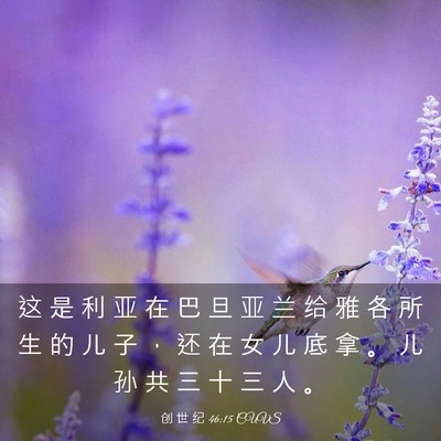 Picture 03 - 创 世 纪 46:15 CUVS - 这 是 利 亚 在 巴 旦 亚 兰 给 雅 各 - Bible Verse Picture