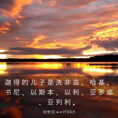 Picture 03 - 创 世 纪 46:16 CUVS - 迦 得 的 儿 子 是 洗 非 芸 、 哈 基 - Bible Verse Picture