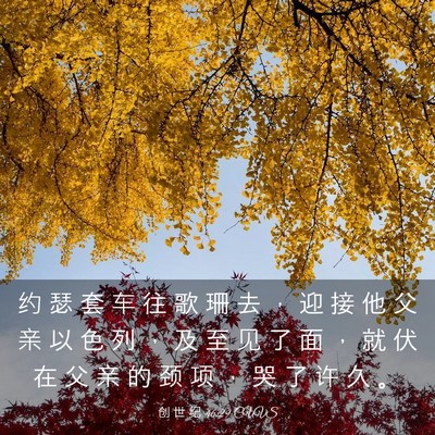 Picture 03 - 创 世 纪 46:29 CUVS - 约 瑟 套 车 往 歌 珊 去 ， 迎 接 他 - Bible Verse Picture