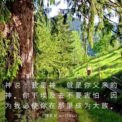 Picture 03 - 创 世 纪 46:3 CUVS - 神 说 ： 我 是 神 ， 就 是 你 父 亲 - Bible Verse Picture