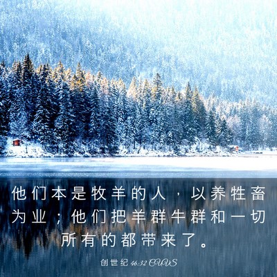 Picture 03 - 创 世 纪 46:32 CUVS - 他 们 本 是 牧 羊 的 人 ， 以 养 牲 - Bible Verse Picture