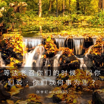 Picture 03 - 创 世 纪 46:33 CUVS - 等 法 老 召 你 们 的 时 候 ， 问 你 - Bible Verse Picture