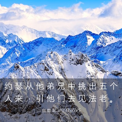 Picture 03 - 创 世 纪 47:2 CUVS - 约 瑟 从 他 弟 兄 中 挑 出 五 个 人 - Bible Verse Picture