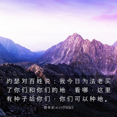 Picture 03 - 创 世 纪 47:23 CUVS - 约 瑟 对 百 姓 说 ： 我 今 日 为 法 - Bible Verse Picture