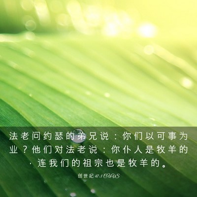 Picture 03 - 创 世 纪 47:3 CUVS - 法 老 问 约 瑟 的 弟 兄 说 ： 你 们 - Bible Verse Picture