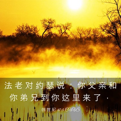 Picture 03 - 创 世 纪 47:5 CUVS - 法 老 对 约 瑟 说 ： 你 父 亲 和 你 - Bible Verse Picture