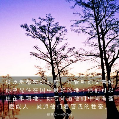 Picture 03 - 创 世 纪 47:6 CUVS - 埃 及 地 都 在 你 面 前 ， 只 管 叫 - Bible Verse Picture