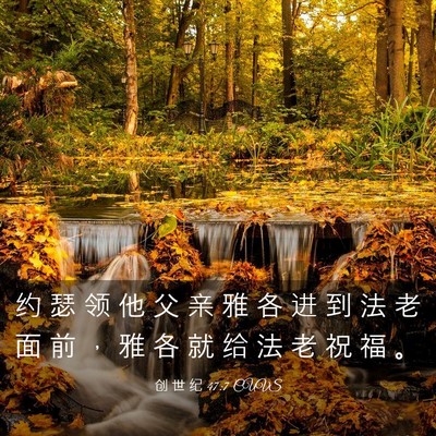 Picture 03 - 创 世 纪 47:7 CUVS - 约 瑟 领 他 父 亲 雅 各 进 到 法 老 - Bible Verse Picture