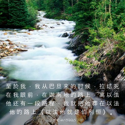 Picture 03 - 创 世 纪 48:7 CUVS - 至 於 我 ， 我 从 巴 旦 来 的 时 候 - Bible Verse Picture