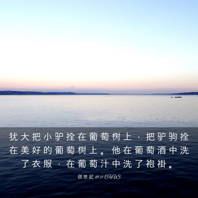 Picture 03 - 创 世 纪 49:11 CUVS - 犹 大 把 小 驴 拴 在 葡 萄 树 上 ， - Bible Verse Picture
