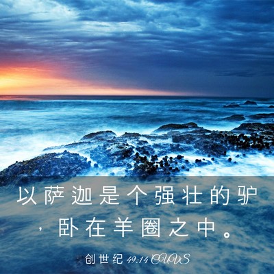Picture 03 - 创 世 纪 49:14 CUVS - 以 萨 迦 是 个 强 壮 的 驴 ， 卧 在 - Bible Verse Picture
