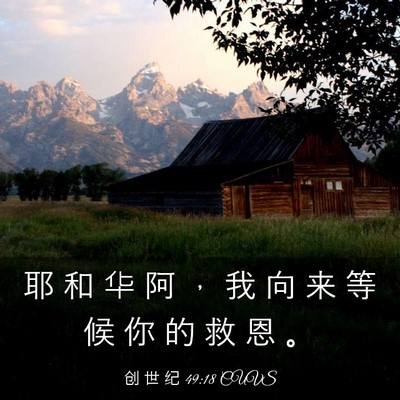 Picture 03 - 创 世 纪 49:18 CUVS - 耶 和 华 阿 ， 我 向 来 等 候 你 的 - Bible Verse Picture