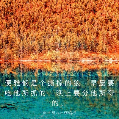 Picture 03 - 创 世 纪 49:27 CUVS - 便 雅 悯 是 个 撕 掠 的 狼 ， 早 晨 - Bible Verse Picture