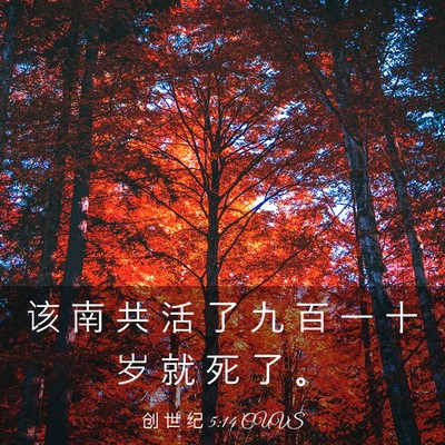 Picture 03 - 创 世 纪 5:14 CUVS - 该 南 共 活 了 九 百 一 十 岁 就 死 - Bible Verse Picture
