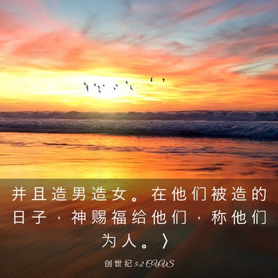 Picture 03 - 创 世 纪 5:2 CUVS - 并 且 造 男 造 女 。 在 他 们 被 造 - Bible Verse Picture