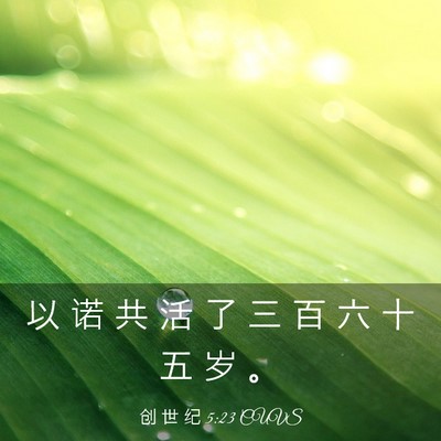 Picture 03 - 创 世 纪 5:23 CUVS - 以 诺 共 活 了 三 百 六 十 五 岁 - Bible Verse Picture
