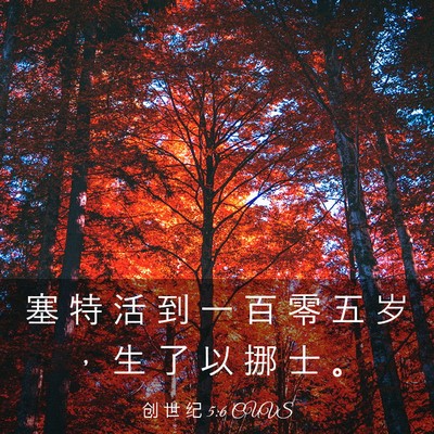 Picture 03 - 创 世 纪 5:6 CUVS - 塞 特 活 到 一 百 零 五 岁 ， 生 了 - Bible Verse Picture