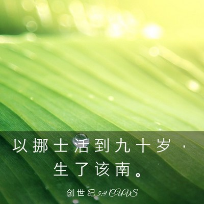 Picture 03 - 创 世 纪 5:9 CUVS - 以 挪 士 活 到 九 十 岁 ， 生 了 该 - Bible Verse Picture