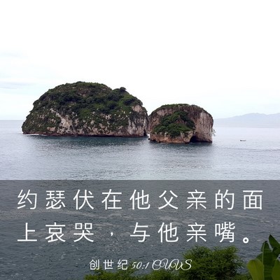 Picture 03 - 创 世 纪 50:1 CUVS - 约 瑟 伏 在 他 父 亲 的 面 上 哀 哭 - Bible Verse Picture
