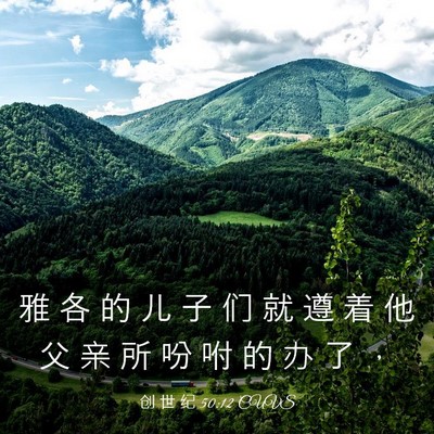 Picture 03 - 创 世 纪 50:12 CUVS - 雅 各 的 儿 子 们 就 遵 着 他 父 亲 - Bible Verse Picture