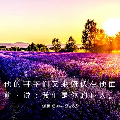 Picture 03 - 创 世 纪 50:18 CUVS - 他 的 哥 哥 们 又 来 俯 伏 在 他 面 - Bible Verse Picture