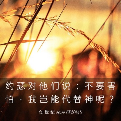 Picture 03 - 创 世 纪 50:19 CUVS - 约 瑟 对 他 们 说 ： 不 要 害 怕 ， - Bible Verse Picture