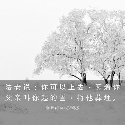 Picture 03 - 创 世 纪 50:6 CUVS - 法 老 说 ： 你 可 以 上 去 ， 照 着 - Bible Verse Picture