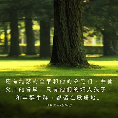 Picture 03 - 创 世 纪 50:8 CUVS - 还 有 约 瑟 的 全 家 和 他 的 弟 兄 - Bible Verse Picture