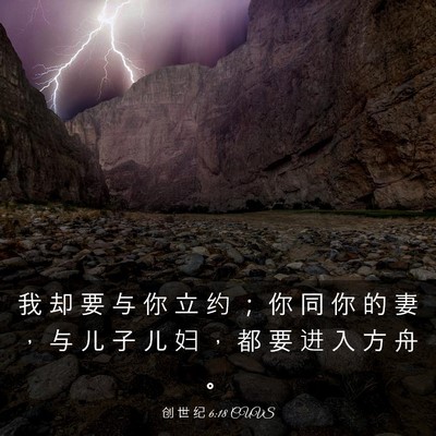 Picture 03 - 创 世 纪 6:18 CUVS - 我 却 要 与 你 立 约 ； 你 同 你 的 - Bible Verse Picture