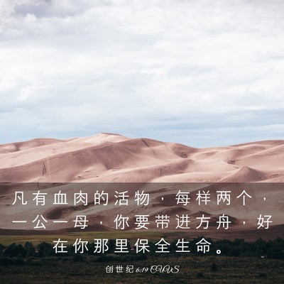 Picture 03 - 创 世 纪 6:19 CUVS - 凡 有 血 肉 的 活 物 ， 每 样 两 个 - Bible Verse Picture