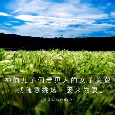 Picture 03 - 创 世 纪 6:2 CUVS - 神 的 儿 子 们 看 见 人 的 女 子 美 - Bible Verse Picture