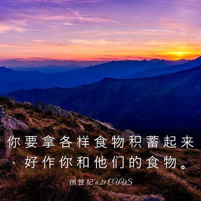 Picture 03 - 创 世 纪 6:21 CUVS - 你 要 拿 各 样 食 物 积 蓄 起 来 ， - Bible Verse Picture