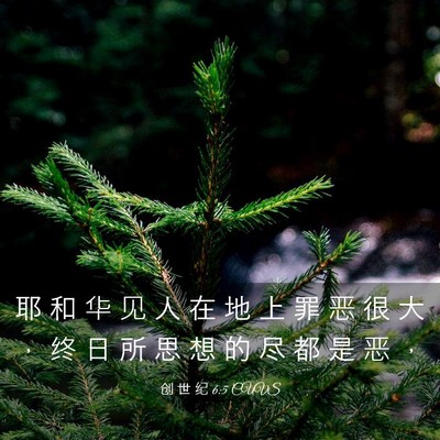 Picture 03 - 创 世 纪 6:5 CUVS - 耶 和 华 见 人 在 地 上 罪 恶 很 大 - Bible Verse Picture