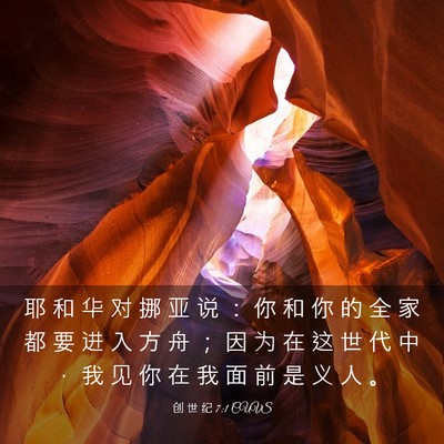 Picture 03 - 创 世 纪 7:1 CUVS - 耶 和 华 对 挪 亚 说 ： 你 和 你 的 - Bible Verse Picture