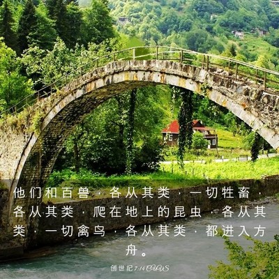 Picture 03 - 创 世 纪 7:14 CUVS - 他 们 和 百 兽 ， 各 从 其 类 ， 一 - Bible Verse Picture