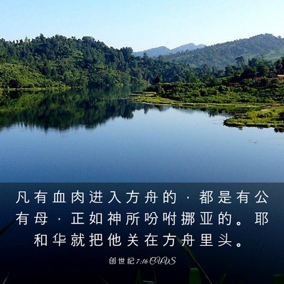 Picture 03 - 创 世 纪 7:16 CUVS - 凡 有 血 肉 进 入 方 舟 的 ， 都 是 - Bible Verse Picture