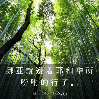 Picture 03 - 创 世 纪 7:5 CUVS - 挪 亚 就 遵 着 耶 和 华 所 吩 咐 的 - Bible Verse Picture