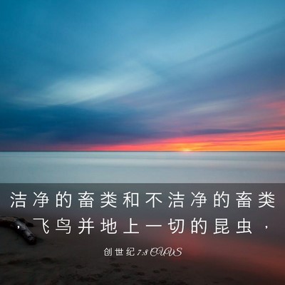 Picture 03 - 创 世 纪 7:8 CUVS - 洁 净 的 畜 类 和 不 洁 净 的 畜 类 - Bible Verse Picture