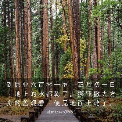 Picture 03 - 创 世 纪 8:13 CUVS - 到 挪 亚 六 百 零 一 岁 ， 正 月 初 - Bible Verse Picture