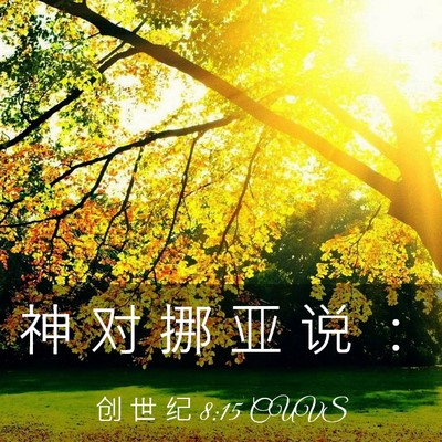 Picture 03 - 创 世 纪 8:15 CUVS - 神 对 挪 亚 说 - Bible Verse Picture