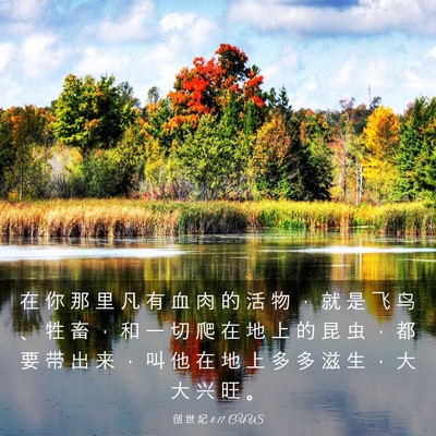Picture 03 - 创 世 纪 8:17 CUVS - 在 你 那 里 凡 有 血 肉 的 活 物 ， - Bible Verse Picture