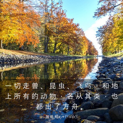 Picture 03 - 创 世 纪 8:19 CUVS - 一 切 走 兽 、 昆 虫 、 飞 鸟 ， 和 - Bible Verse Picture