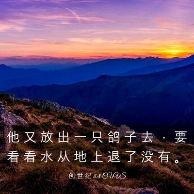 Picture 03 - 创 世 纪 8:8 CUVS - 他 又 放 出 一 只 鸽 子 去 ， 要 看 - Bible Verse Picture