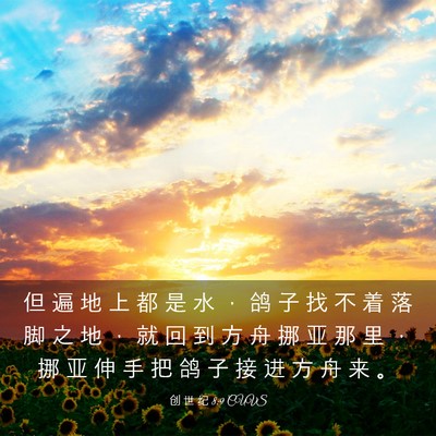 Picture 03 - 创 世 纪 8:9 CUVS - 但 遍 地 上 都 是 水 ， 鸽 子 找 不 - Bible Verse Picture