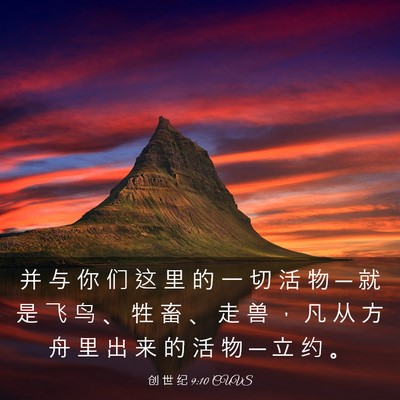 Picture 03 - 创 世 纪 9:10 CUVS - 并 与 你 们 这 里 的 一 切 活 物 ─ - Bible Verse Picture