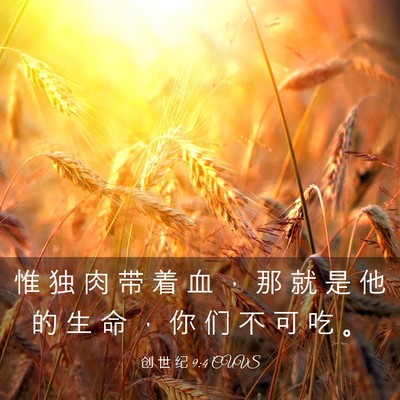 Picture 03 - 创 世 纪 9:4 CUVS - 惟 独 肉 带 着 血 ， 那 就 是 他 的 - Bible Verse Picture