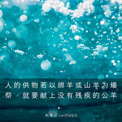 Picture 03 - 利 未 记 1:10 CUVS - 人 的 供 物 若 以 绵 羊 或 山 羊 为 - Bible Verse Picture